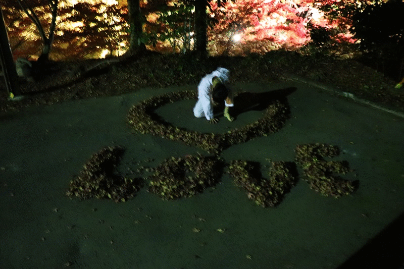 奥津渓 autumn foliage（okutsukei）