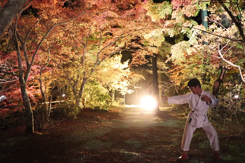 Harsh Training(karate boy)