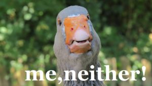 「私も」は英語でme tooではない【eitherとneitherの使い方】 | はじめてのオンライン英会話【小学生・中学生体験談】