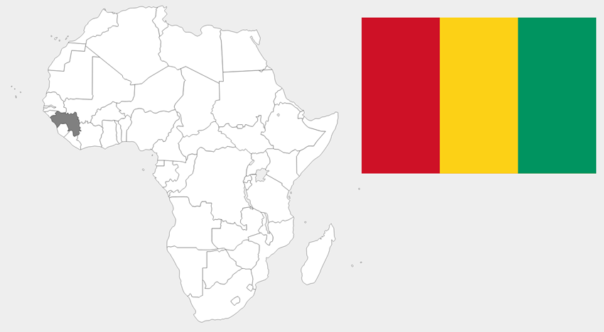 ギニア共和国（Republic of Guinea）