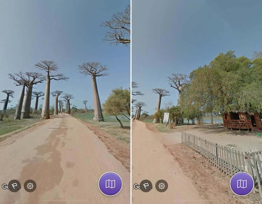 バオバブ街道（Avenue of the Baobabs